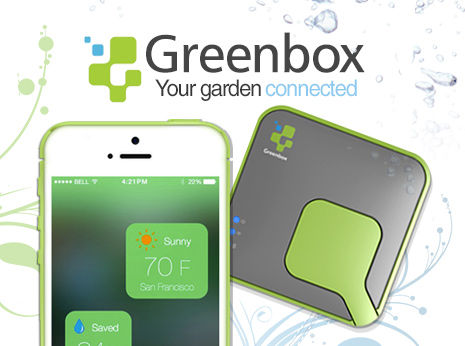 greenbox-cat-image