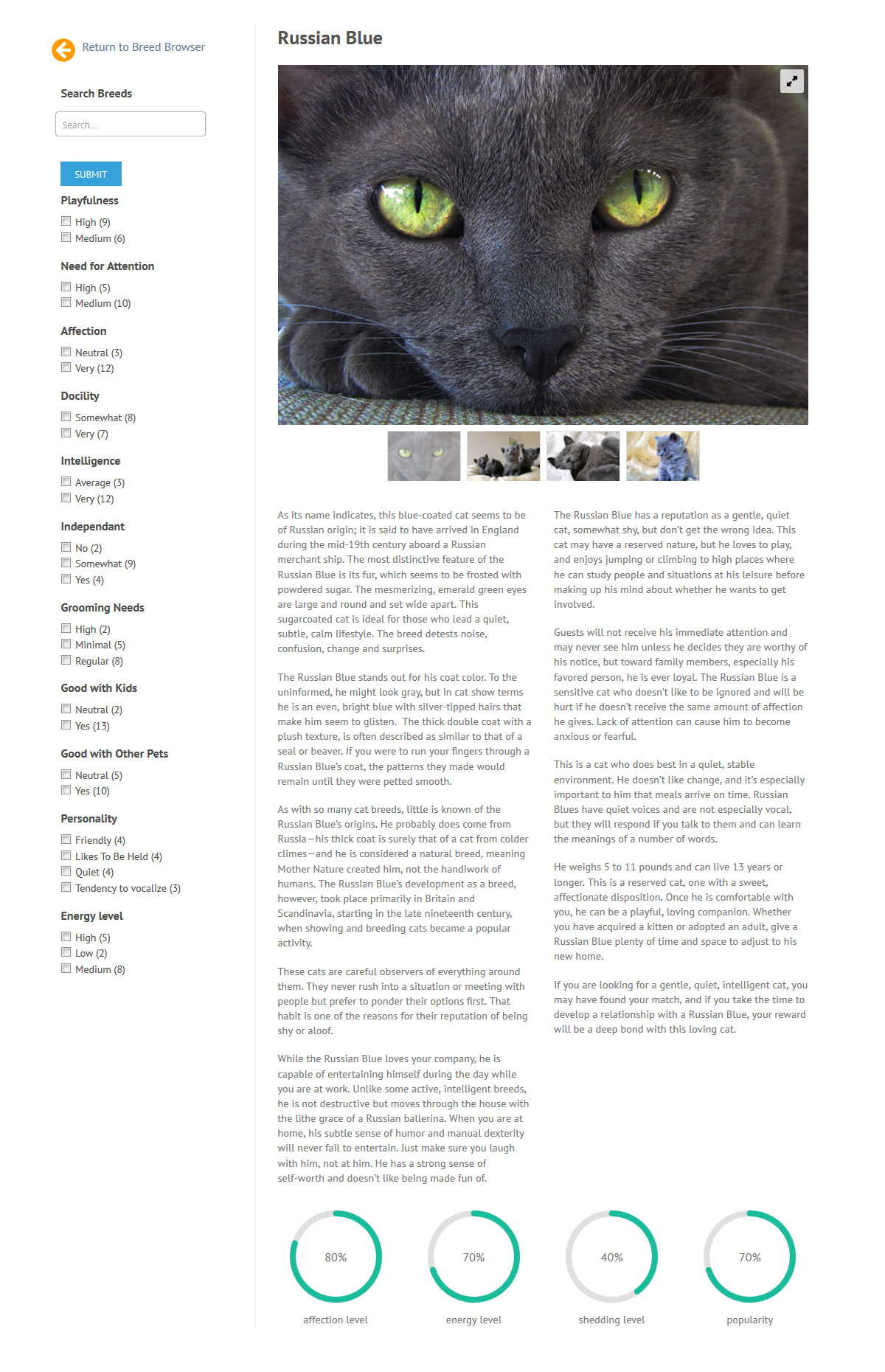 puppies_plus_cats_russianblue